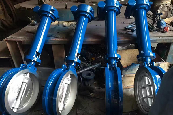 Pengenalan Turbo Extended Butterfly Valve