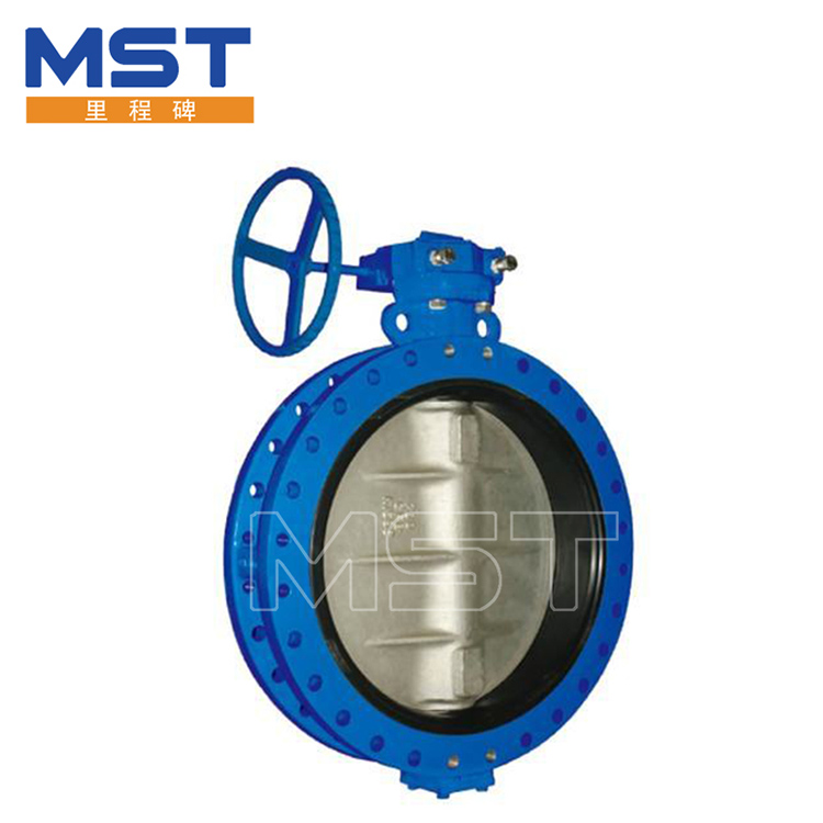 Sentric Butterfly Valve